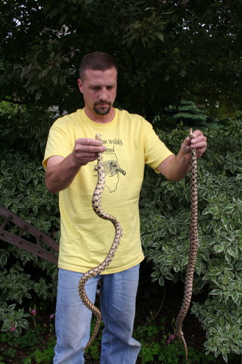 Snakes Brad Caught